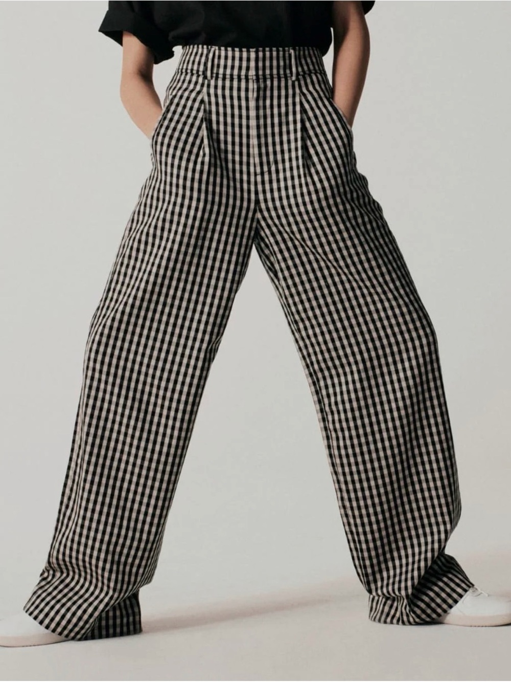 Everlane The Draper Pleated Pant in Buttersmooth